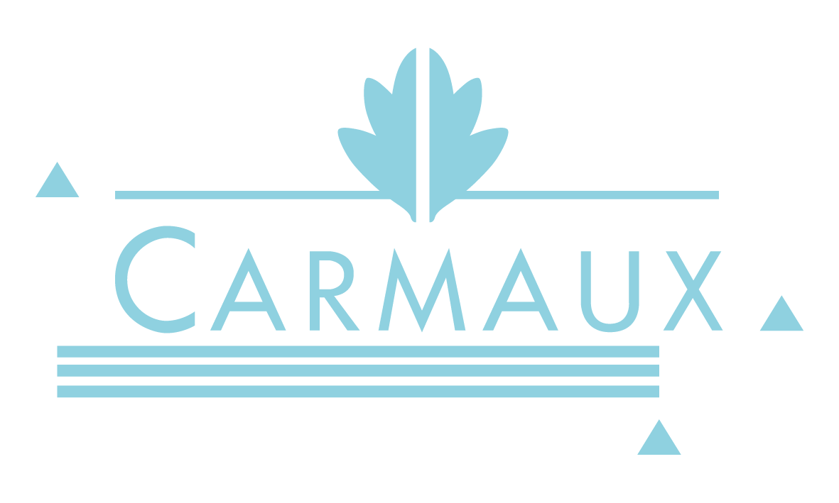 Logo Carmaux Mission Jeunes Tarn Nord